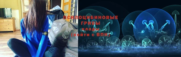 амф Алексин